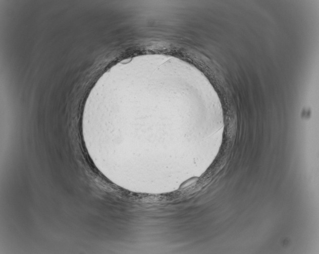 X0000116881345201002021139