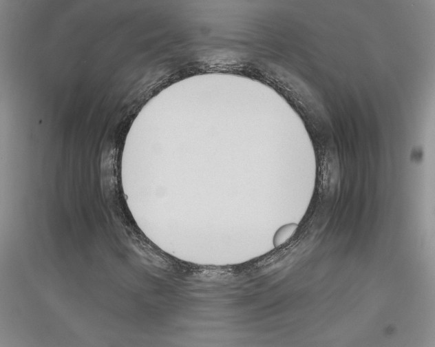 X0000116881346201002021139