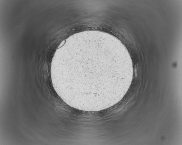 X0000116881347201002021139