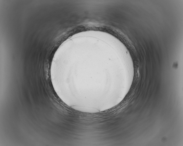 X0000116881348201002021139