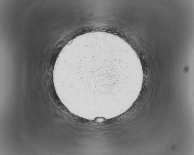 X0000116881349201002021139