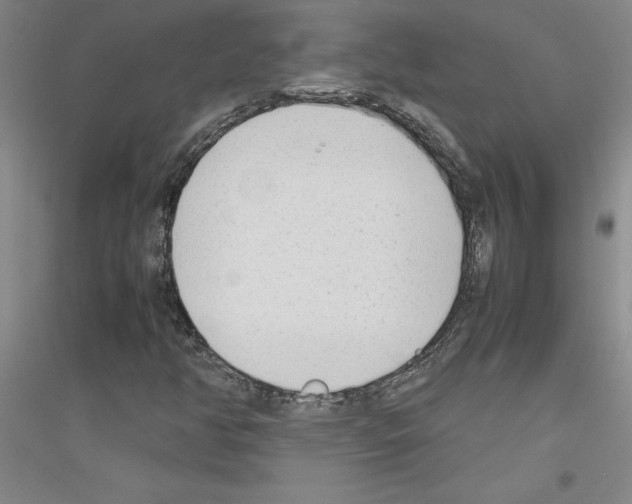 X0000116881350201002021139