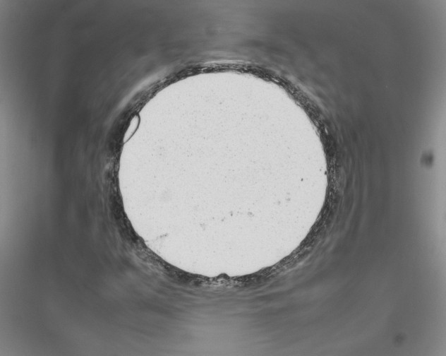 X0000116881351201002021139