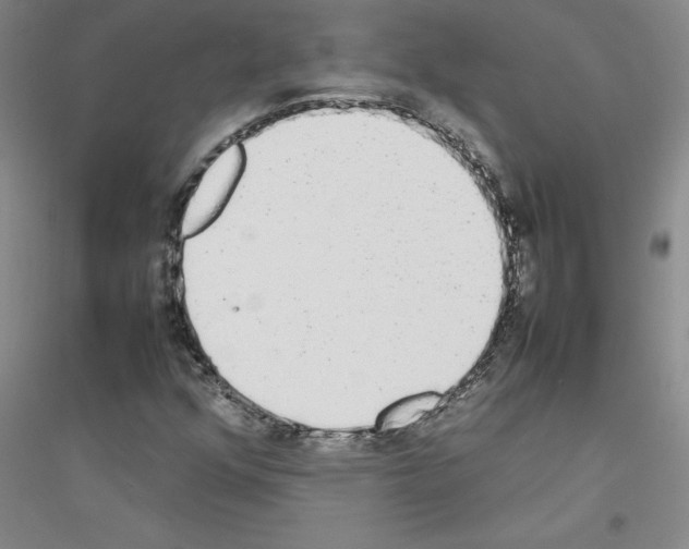 X0000116881352201002021139
