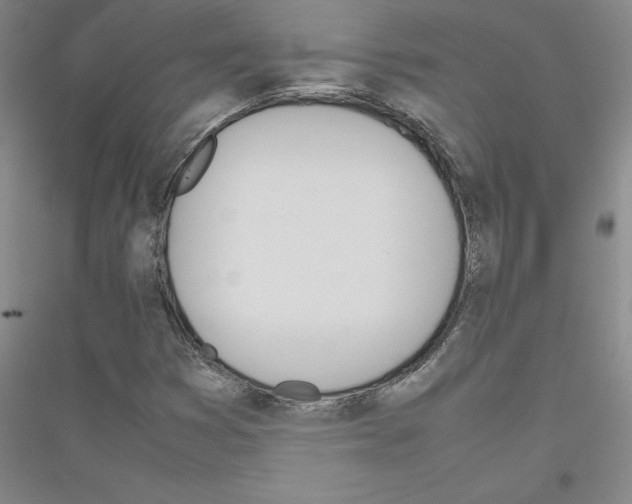 X0000116881353201002021139