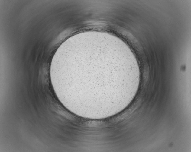 X0000116881354201002021139