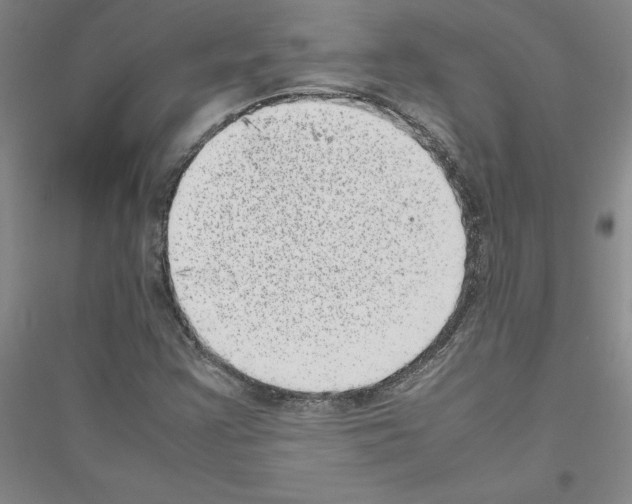 X0000116881355201002021139