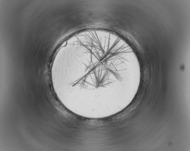 X0000116881356201002021139