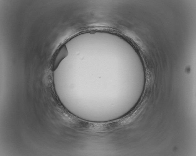 X0000116881357201002021139