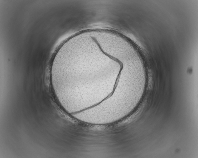 X0000116881358201002021139