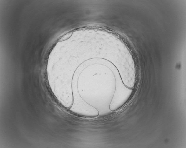 X0000116881359201002021139