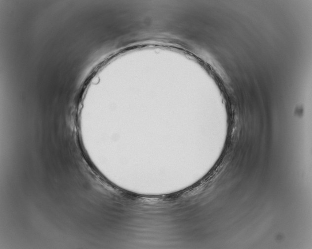 X0000116881360201002021139