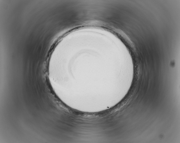 X0000116881364201002021139