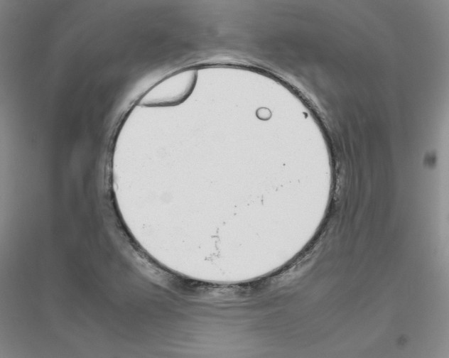 X0000116881367201002021139