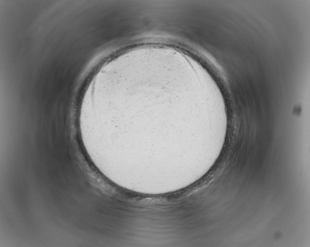 X0000116881368201002021139