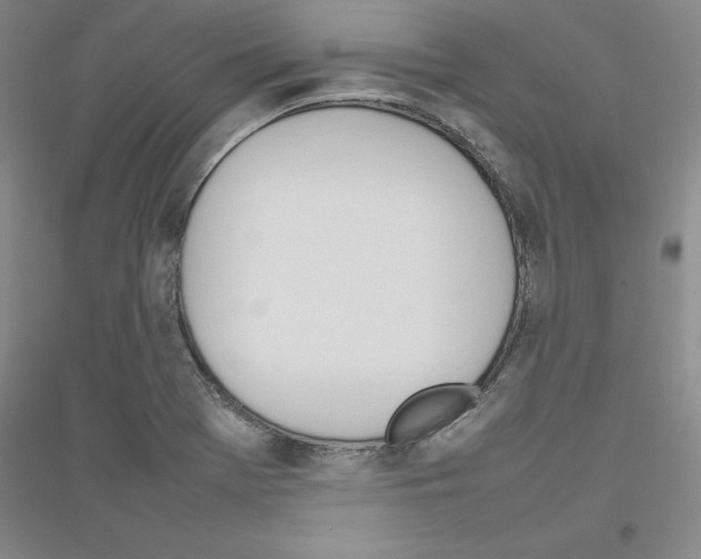 X0000116881369201002021139