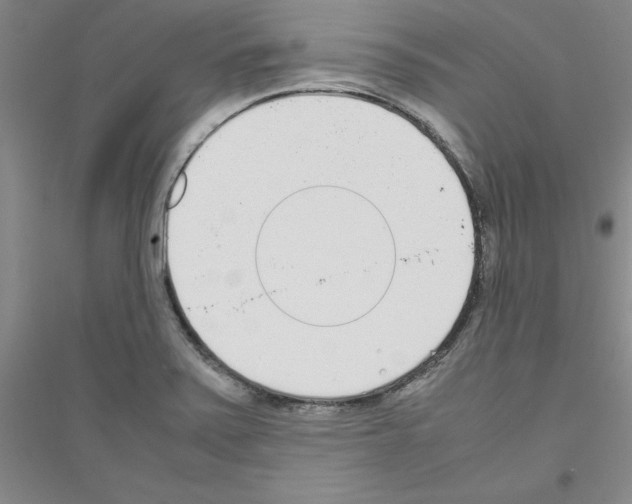 X0000116881371201002021139