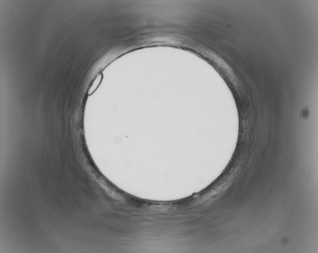 X0000116881373201002021139