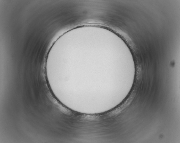 X0000116881374201002021139