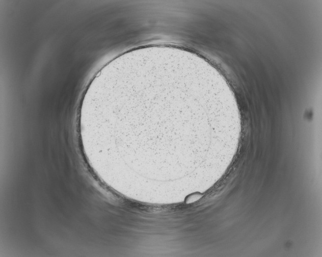 X0000116881375201002021139