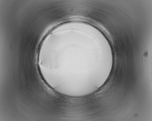 X0000116881376201002021139