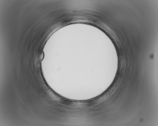 X0000116881377201002021139