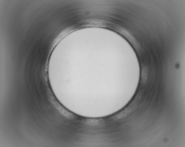 X0000116881378201002021139