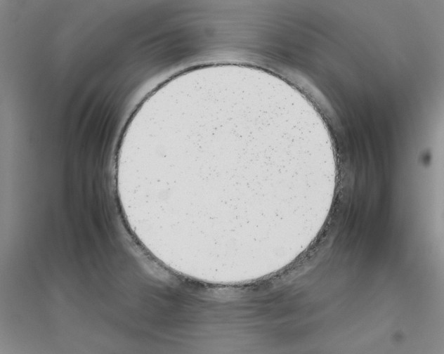 X0000116881380201002021139