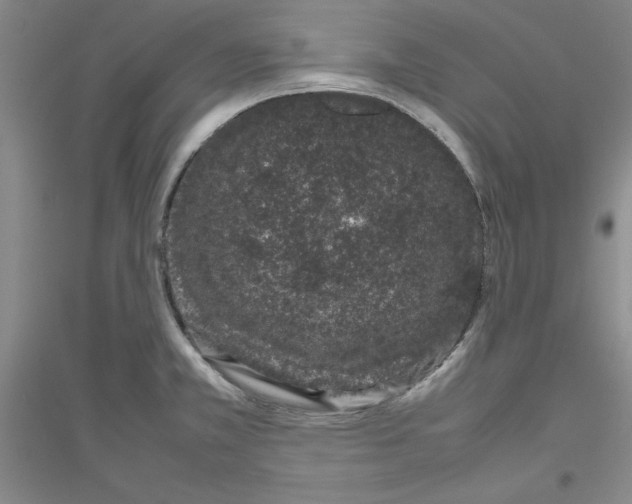 X0000116881381201002021139