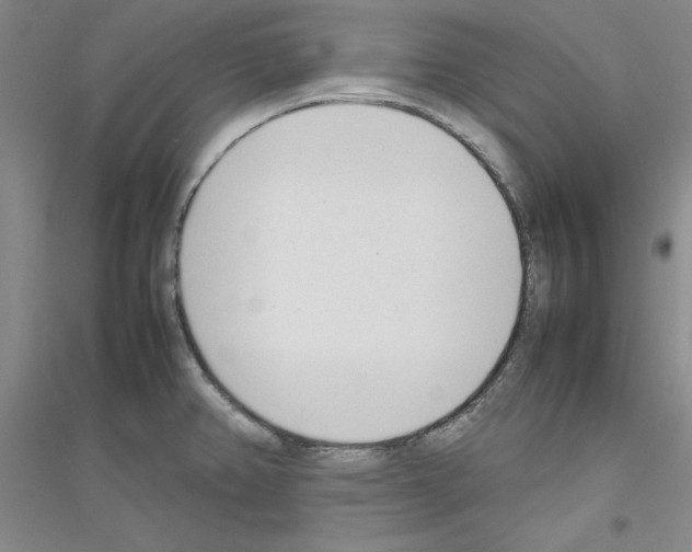 X0000116881382201002021139