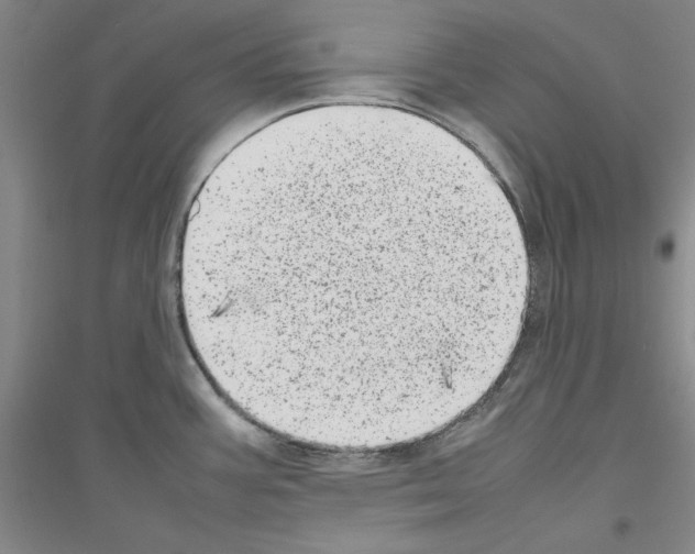 X0000116881387201002021139