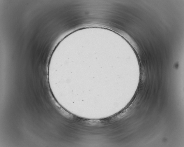 X0000116881388201002021139