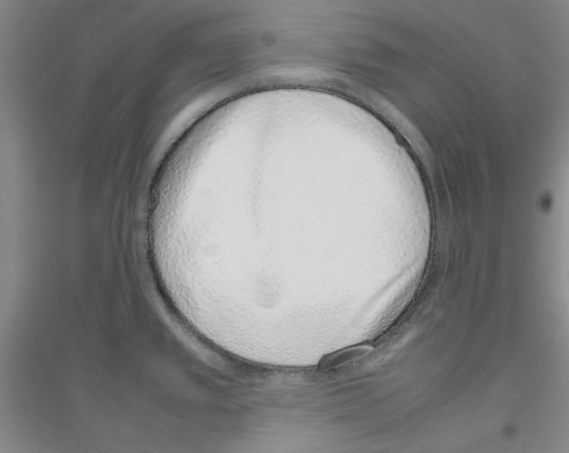 X0000116881389201002021139