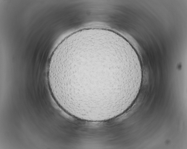 X0000116881390201002021139