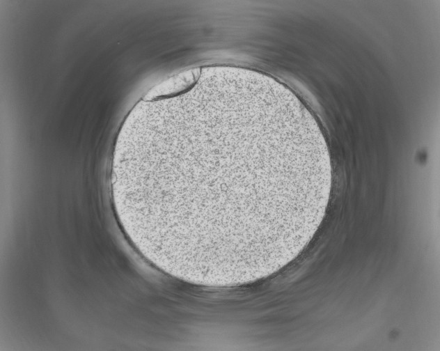 X0000116881391201002021139