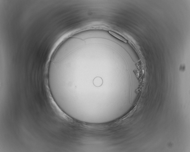 X0000116881392201002021139