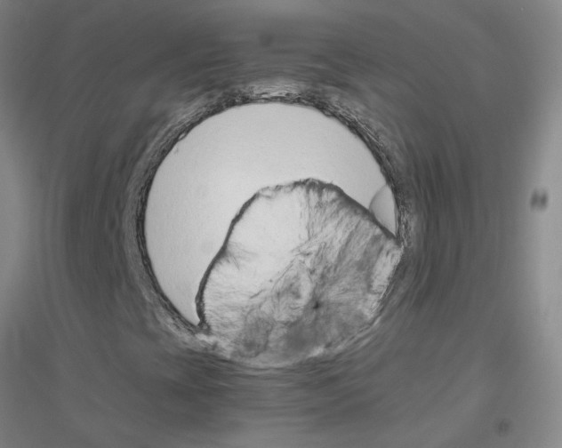 X0000116881393201002021138