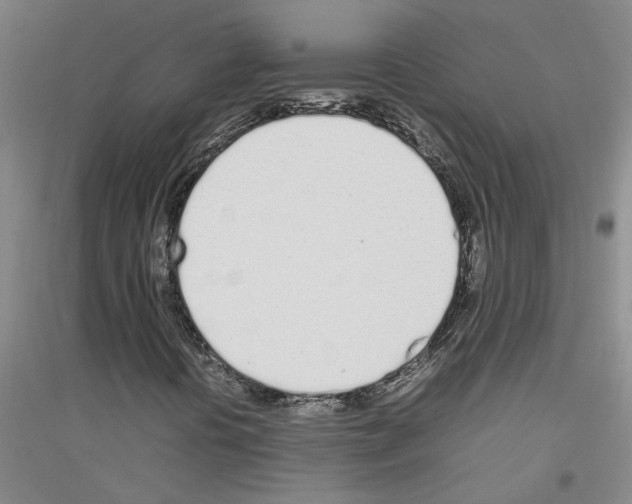 X0000116881394201002021138