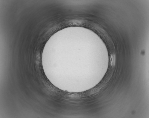 X0000116881395201002021138