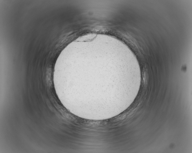 X0000116881396201002021138