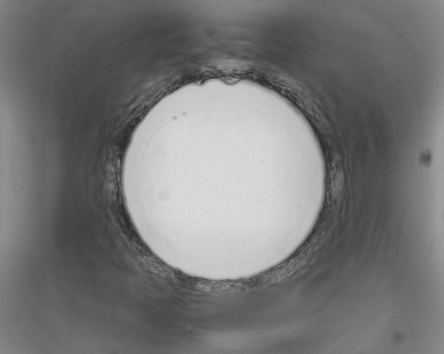 X0000116881397201002021138