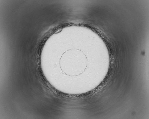 X0000116881398201002021138