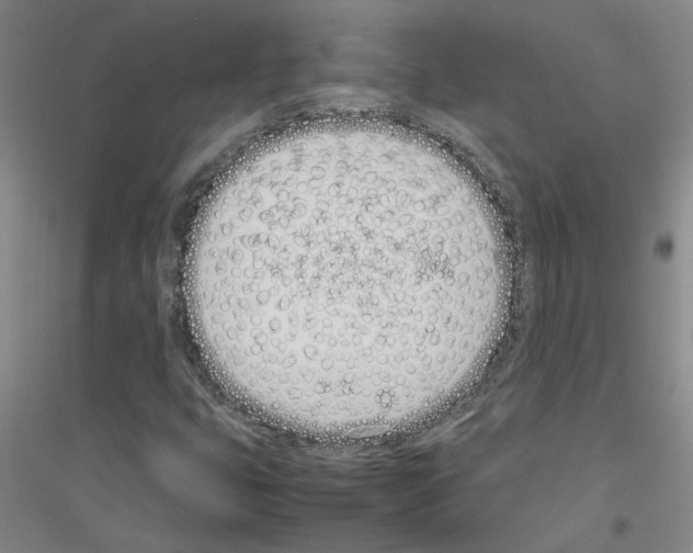 X0000116881399201002021138