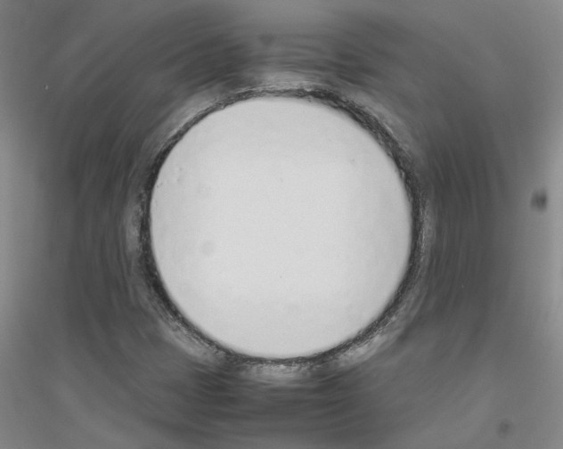 X0000116881401201002021138
