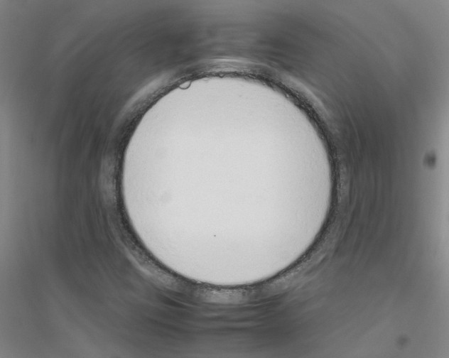 X0000116881403201002021138