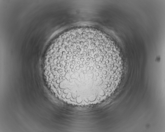 X0000116881404201002021138