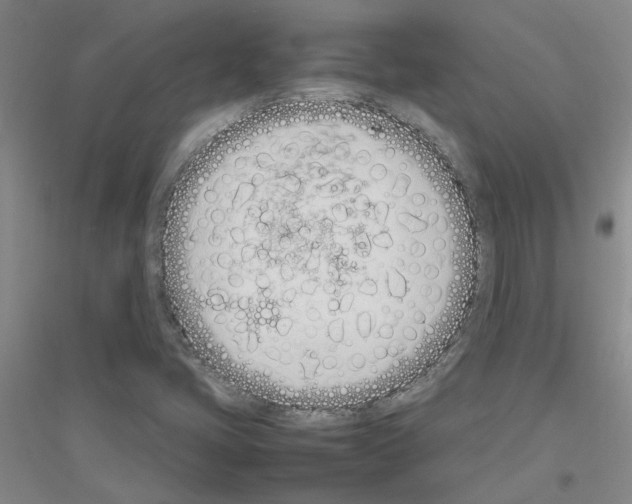 X0000116881405201002021138