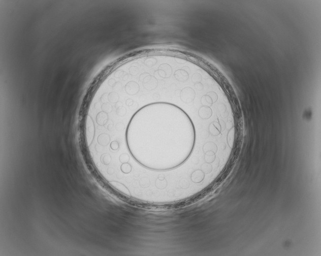 X0000116881408201002021138