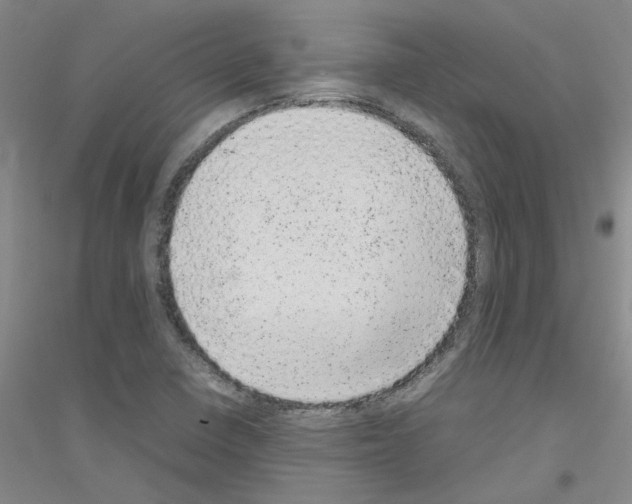 X0000116881410201002021138