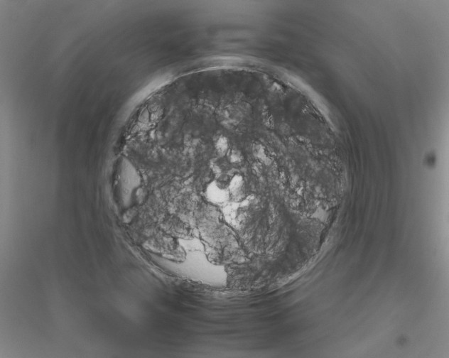 X0000116881411201002021138